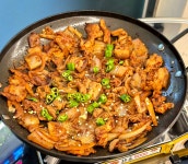 동전집