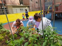 꿈이있는어린이집