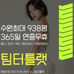 팀터틀랫 수원아이파크시티33호점