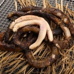 털보네민물장어산꼼장어짚불구이