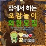 행복한꼬마거북이 홍성예산