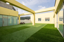 놀러오개 애견유치원 애견호텔 분당점