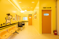 놀러오개 애견유치원 애견호텔 분당점