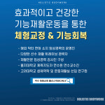 홀리스틱 바디워크