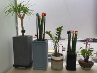지니스 안경 대전충남대점