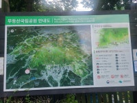 화순개인택시