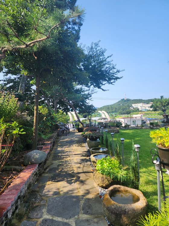 카페솔바람 사진