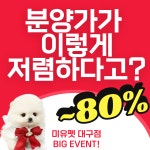 미유펫대구 강아지분양고양이분양 도그플러스동물병원