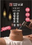 엔투코리아
