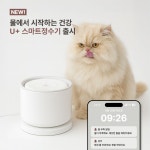 LG유플러스 새롬동 새롬주민센터점