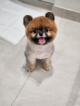 몽몽쓰