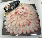 실시간활어회종합어시장