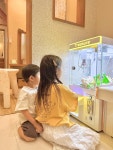 경주 보물섬키즈풀빌라 단체펜션
