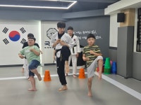 하나린태권도장