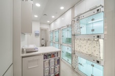 브이동물메디컬센터