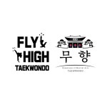 플라이하이태권도