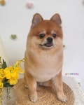 그루멍
