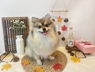 멍순이