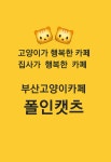 폴인캣츠