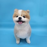 이뻐질개애견미용실