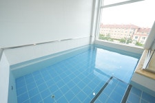 강릉 퍼피 애견풀빌라