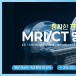 24시 수 동물병원