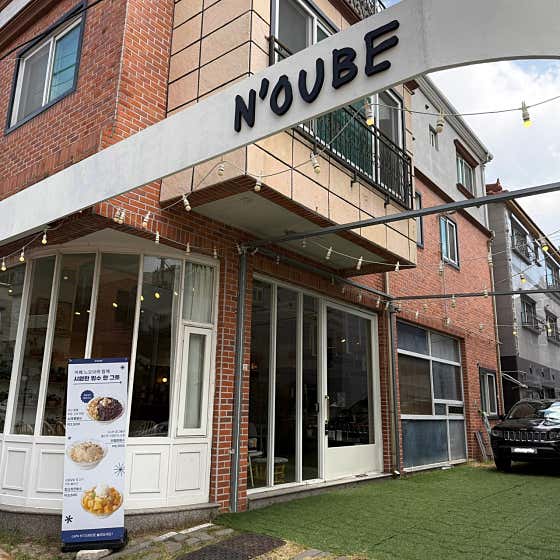 느오브 사진