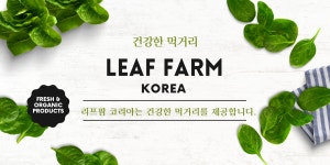 와이씨엠