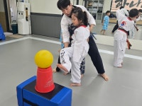 하나린태권도장