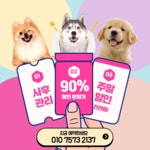 드림독 강아지분양 안심분양센터 김포점