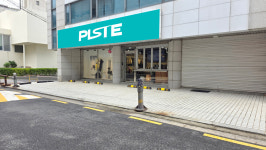 피스트