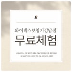 와이덱스보청기 강남점