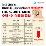 디테일 동물의료센터