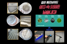 리비케어