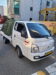 동동화물
