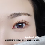 더블유엠(WM)아이래쉬 | WM아이래쉬
