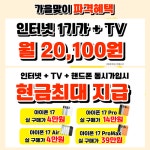 KT 초심 하안사거리점