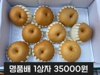 대성농수산도소매 | 대성농산물J