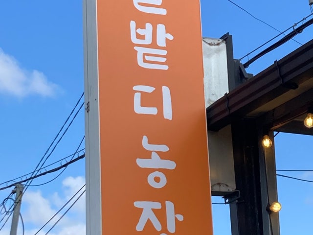 귤밭디농장