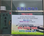 산지흑염소