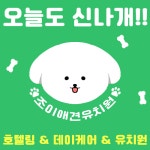 조이애견유치원