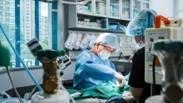 라파엘동물병원