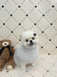 두리멍실
