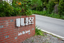 숲속카페 에이,플로르