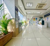 고려종합동물병원