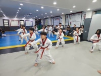 MTA태권도 안산 월피점