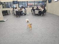 헤즈업 수원인계점