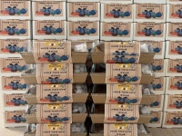 MTA태권도 안산 월피점