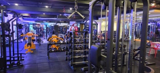 휘트니스더레이