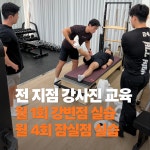 바디랩스트레칭